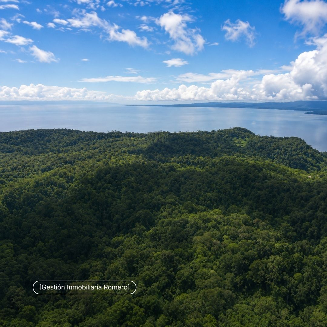 Terreno en venta en Sierpe, Puntarenas - 150.5 hectáreas frente a Reserva Forestal Golfo Dulce, Playa Chal