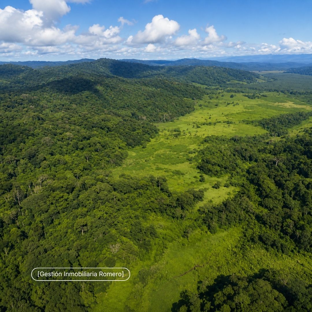 Land for Sale in Sierpe, Puntarenas - 150.5 Hectares Facing Golfo Dulce Forest Reserve, Playa Chal 2