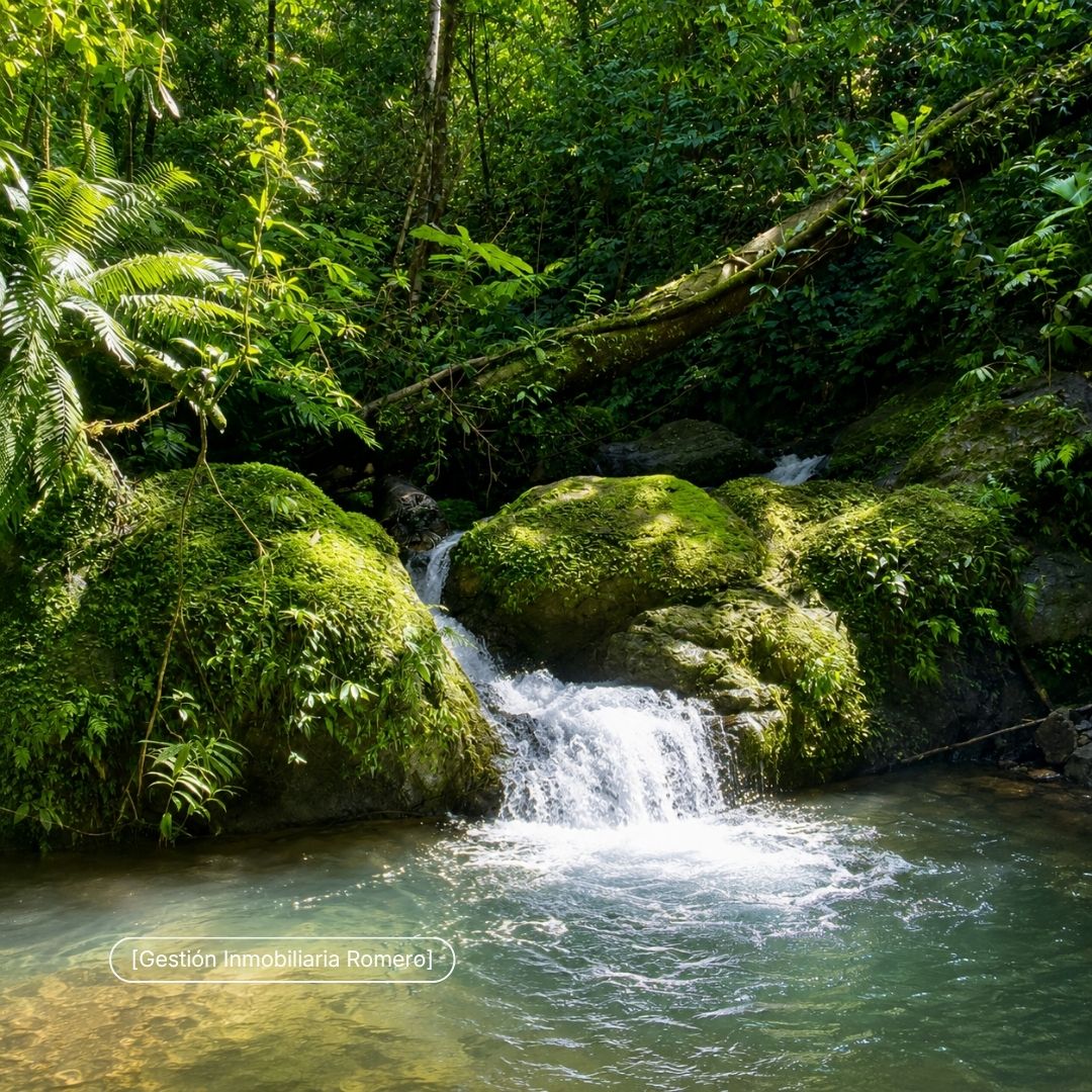 Land for Sale in Sierpe, Puntarenas - 150.5 Hectares Facing Golfo Dulce Forest Reserve, Playa Chal 3