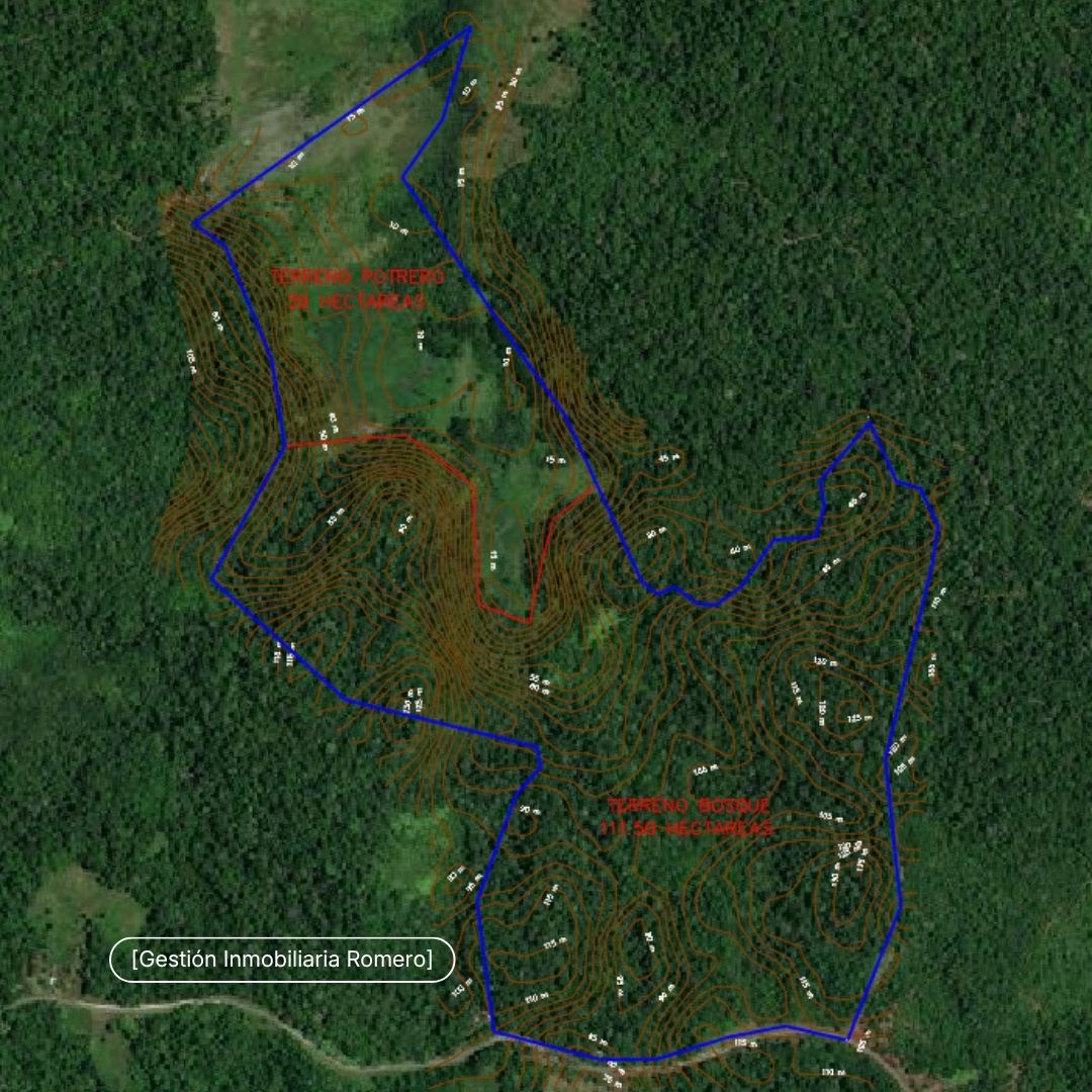 Land for Sale in Sierpe, Puntarenas - 150.5 Hectares Facing Golfo Dulce Forest Reserve, Playa Chal 4