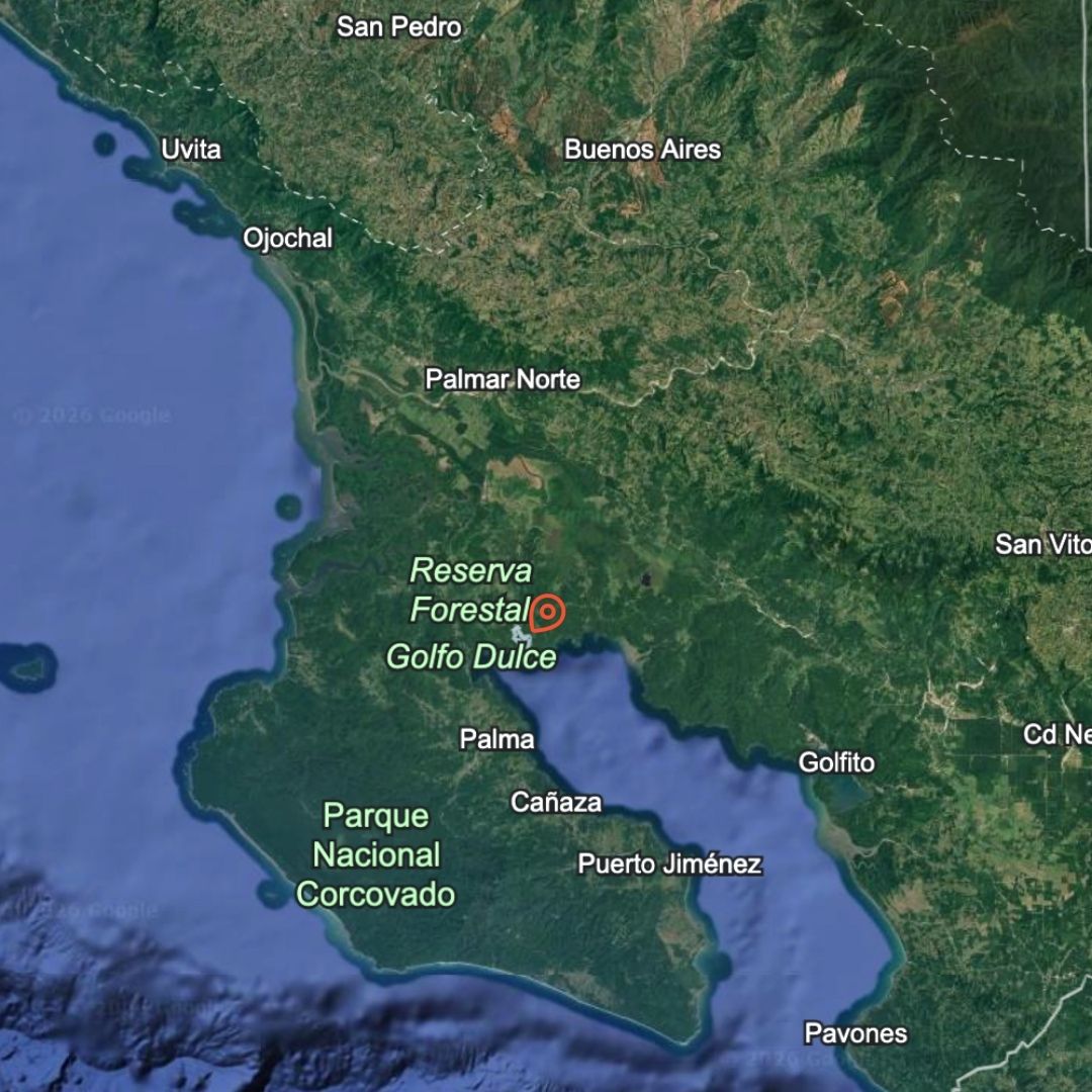 Land for Sale in Sierpe, Puntarenas - 150.5 Hectares Facing Golfo Dulce Forest Reserve, Playa Chal 5